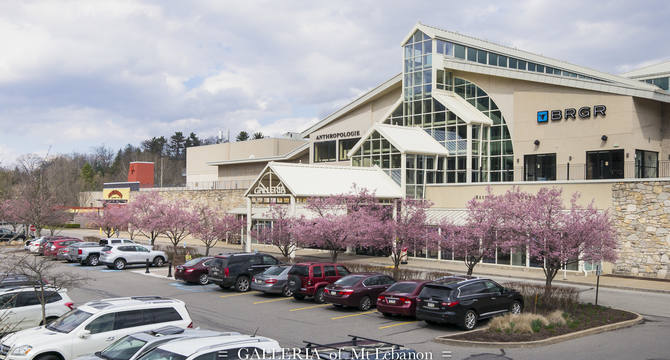 CBRE Retail   Main Photo